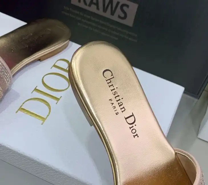 hype Christian Dior Slippers