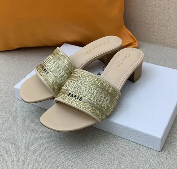 hype Christian Dior Slippers