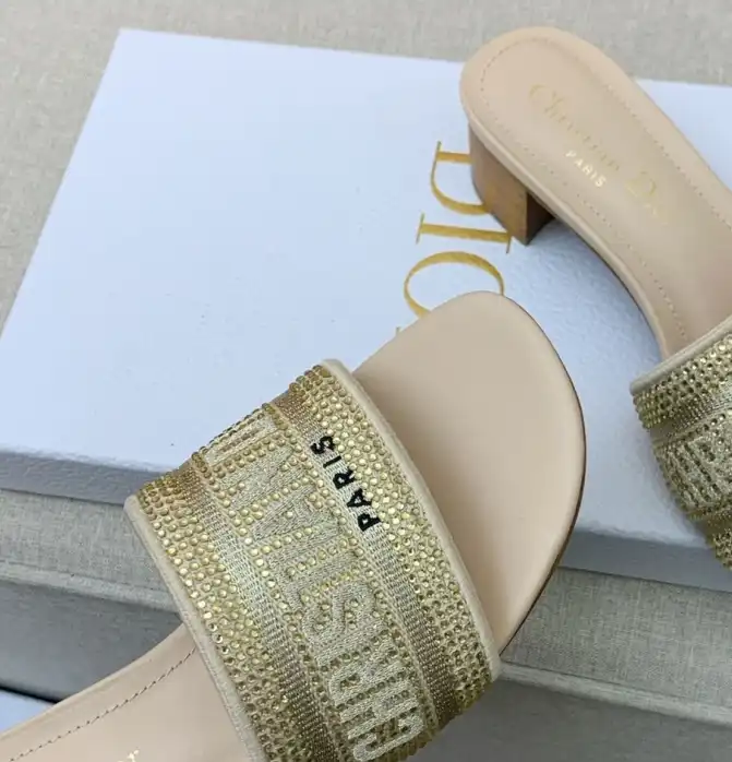 hype Christian Dior Slippers