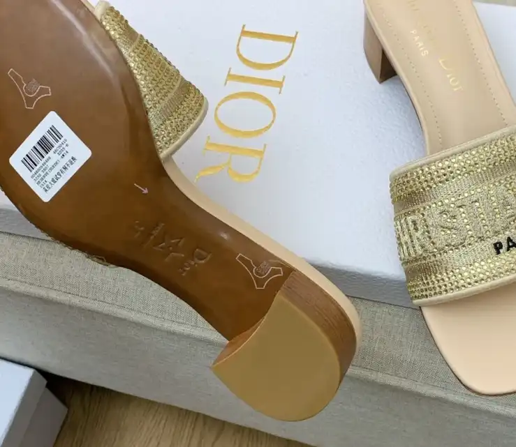 hype Christian Dior Slippers