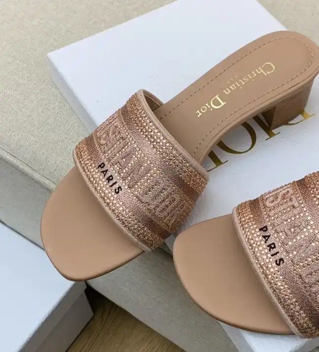 hype Christian Dior Slippers