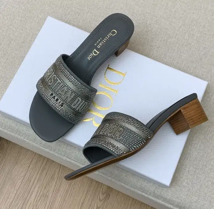 hype Christian Dior Slippers