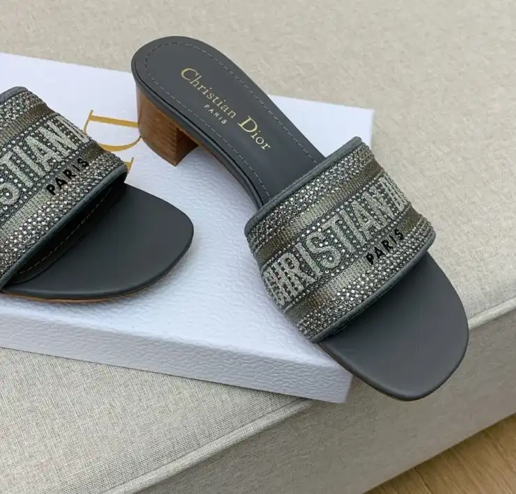 hype Christian Dior Slippers