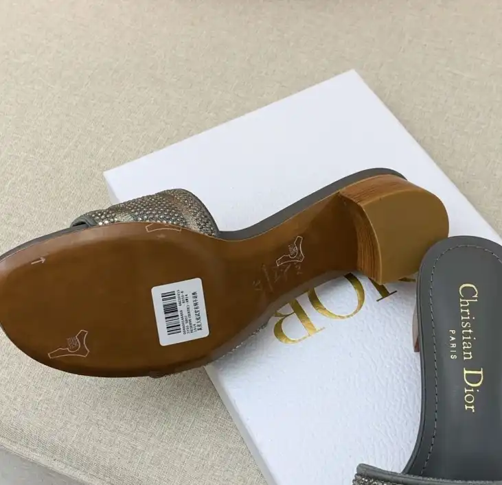 hype Christian Dior Slippers