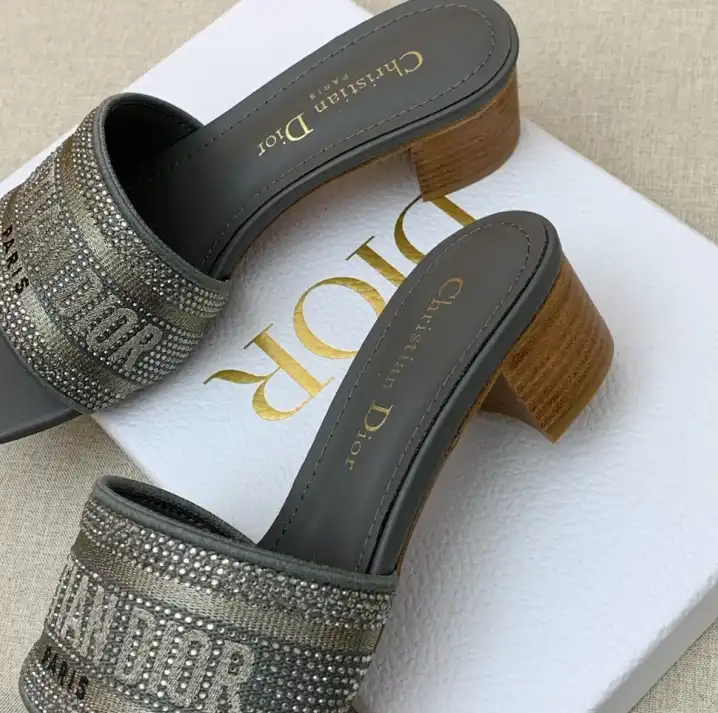 hype Christian Dior Slippers