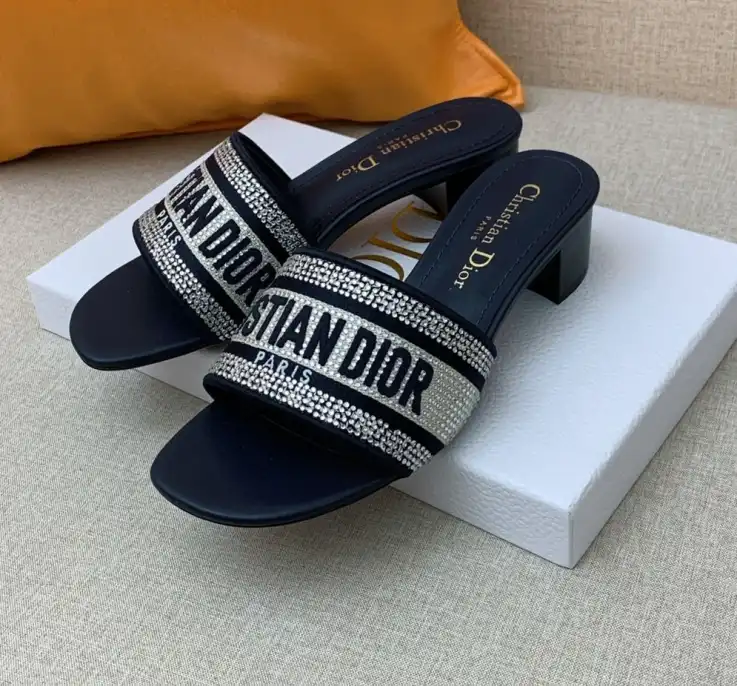 hype Christian Dior Slippers