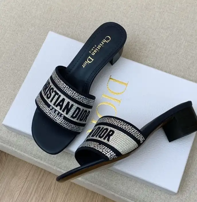 hype Christian Dior Slippers