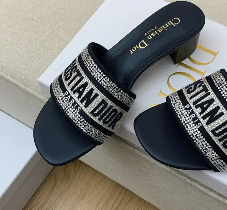 hype Christian Dior Slippers