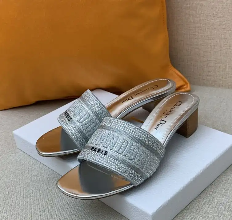 hype Christian Dior Slippers