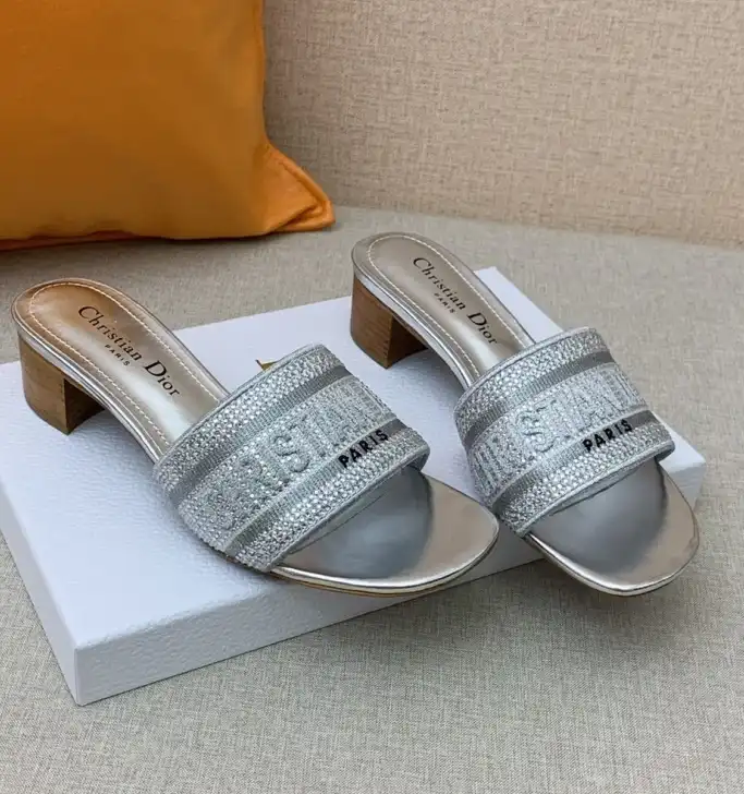 hype Christian Dior Slippers