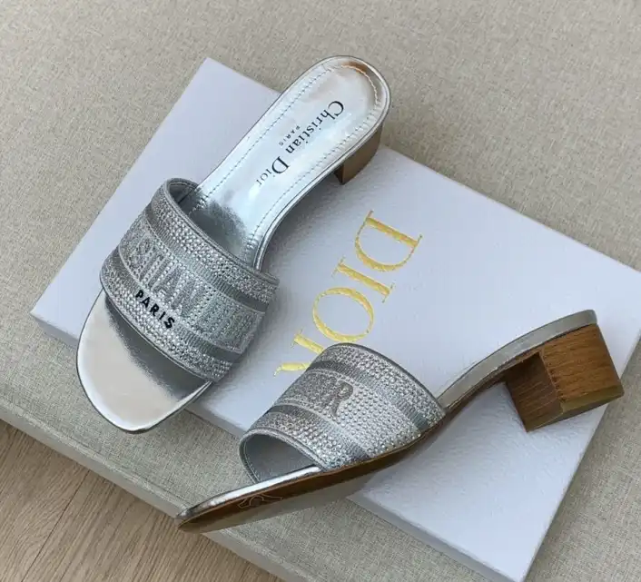 hype Christian Dior Slippers