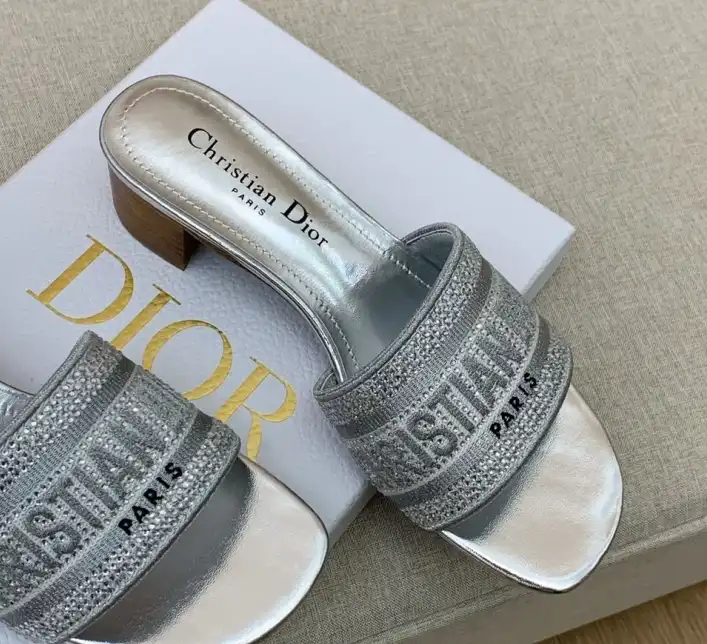 hype Christian Dior Slippers