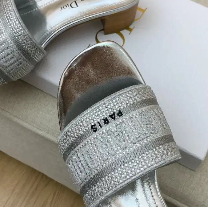 hype Christian Dior Slippers