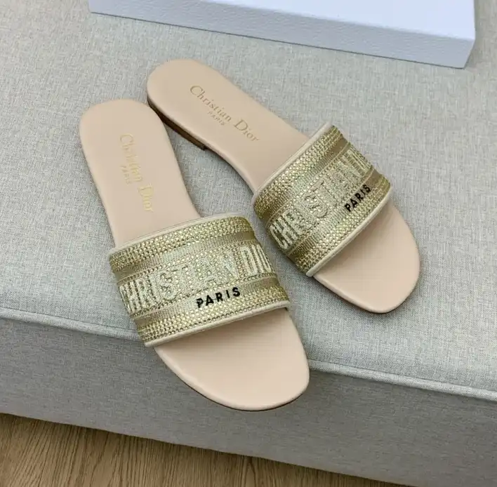 hype Christian Dior Slippers