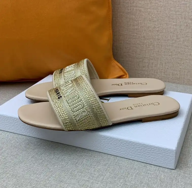 hype Christian Dior Slippers