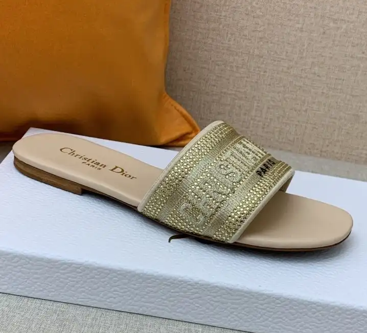 hype Christian Dior Slippers