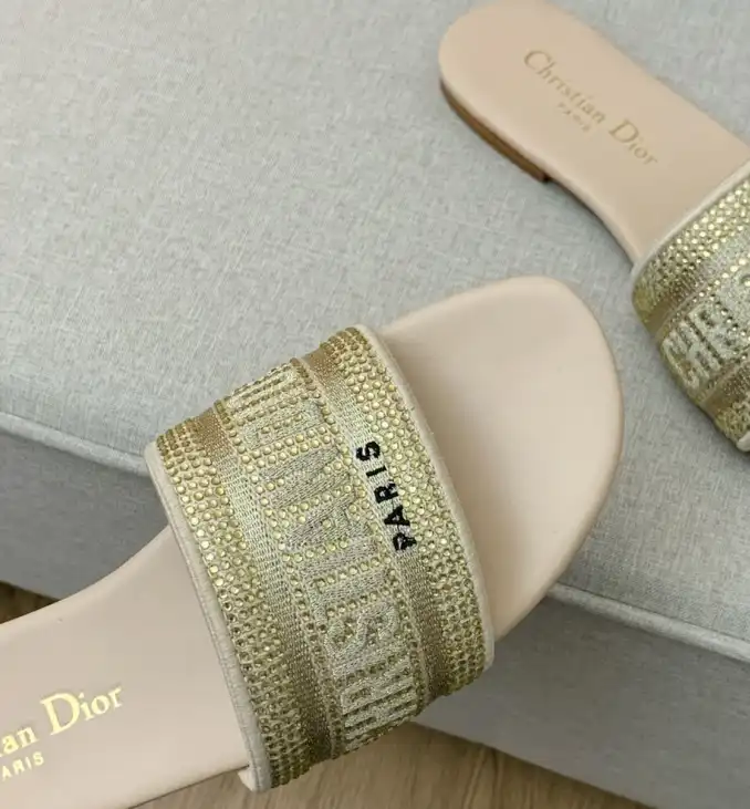 hype Christian Dior Slippers