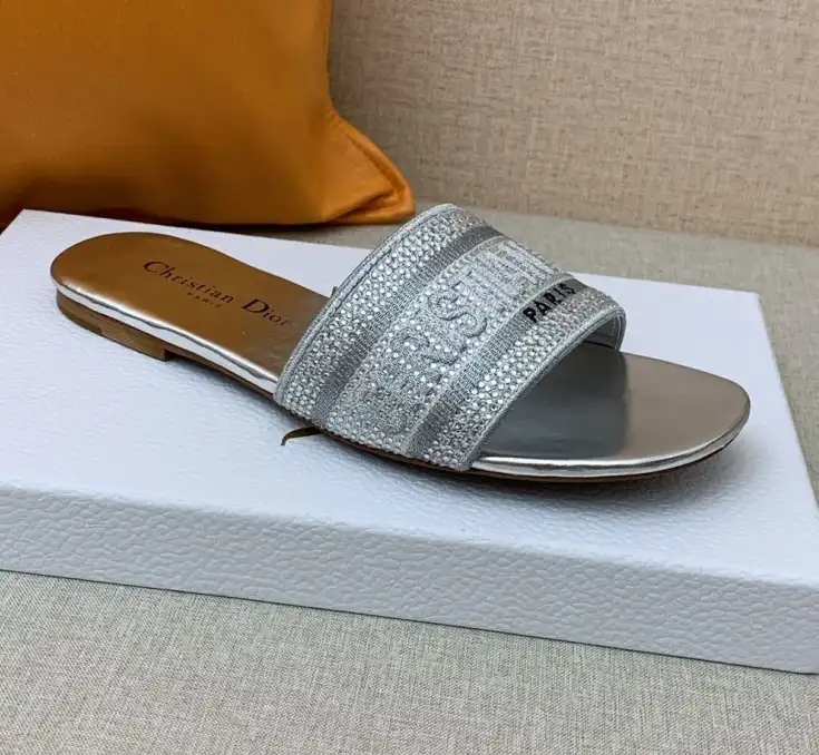 hype Christian Dior Slippers