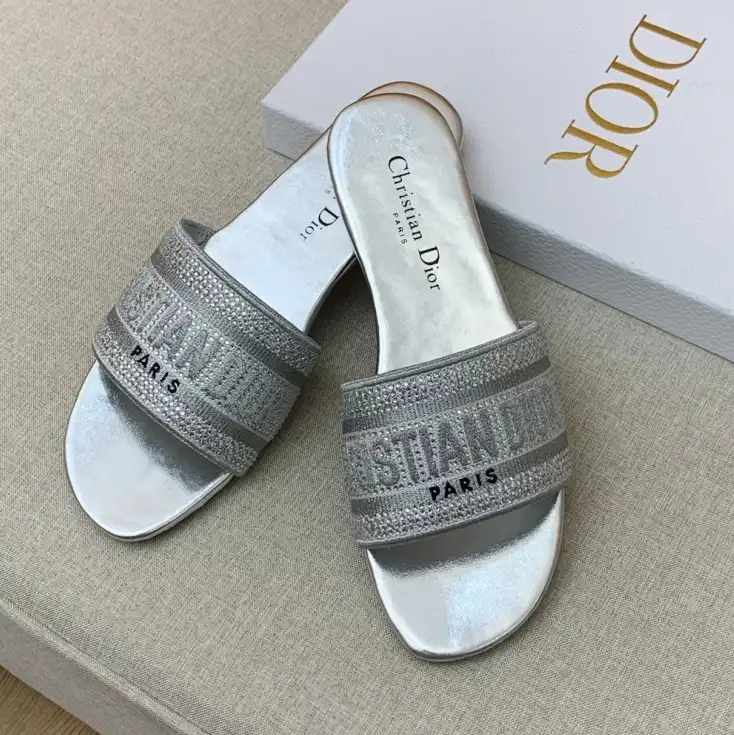 hype Christian Dior Slippers