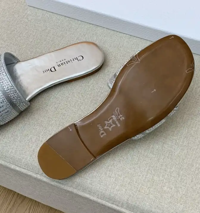 hype Christian Dior Slippers