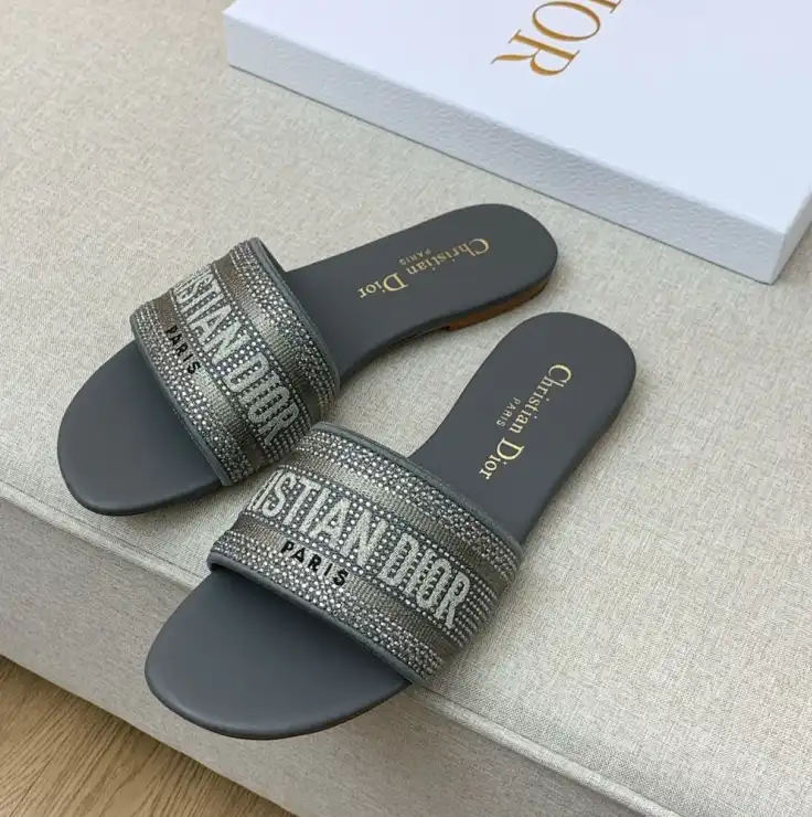 hype Christian Dior Slippers