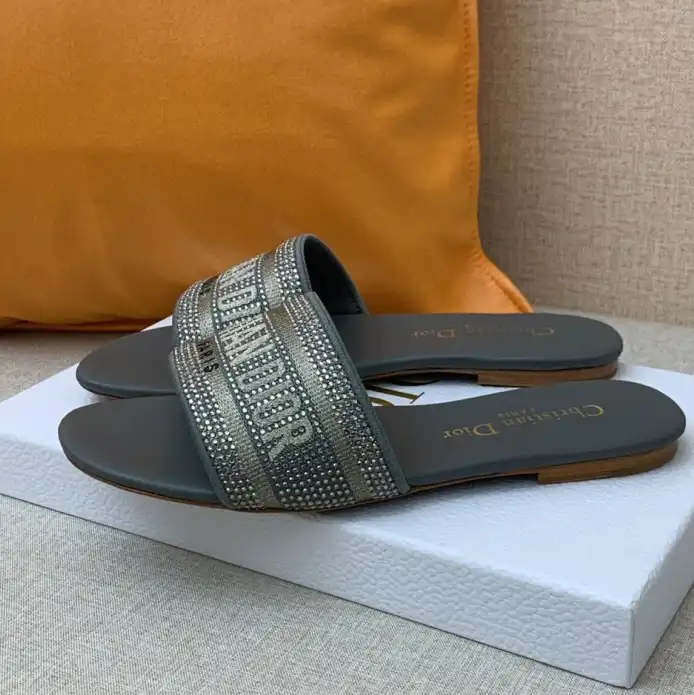 hype Christian Dior Slippers