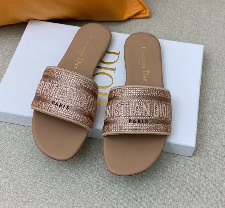 hype Christian Dior Slippers