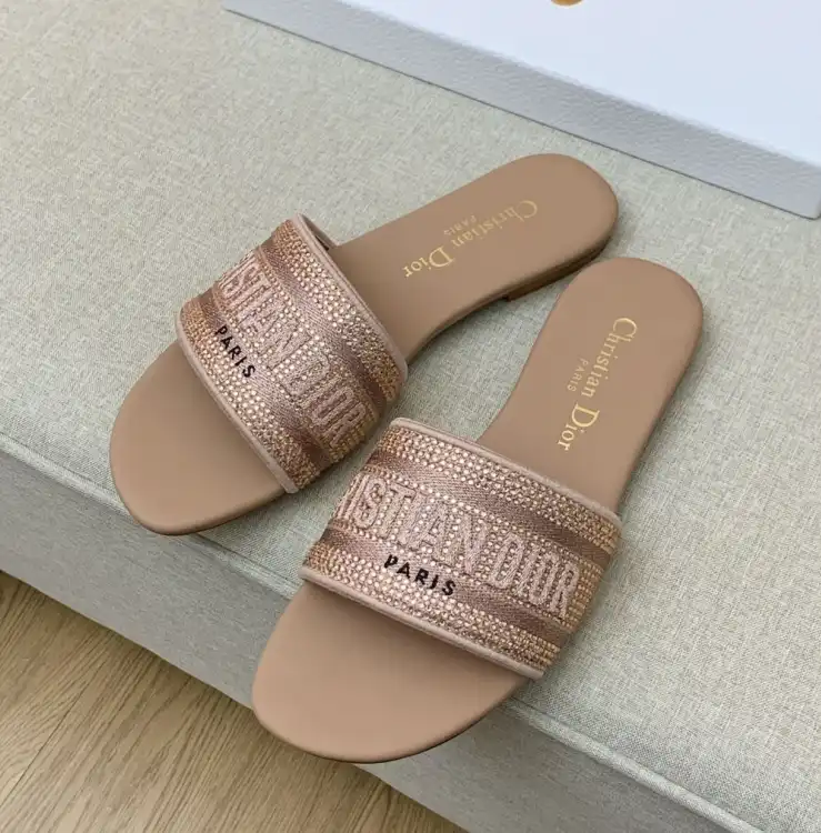 hype Christian Dior Slippers