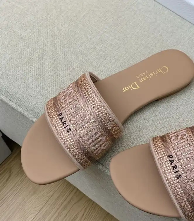 hype Christian Dior Slippers