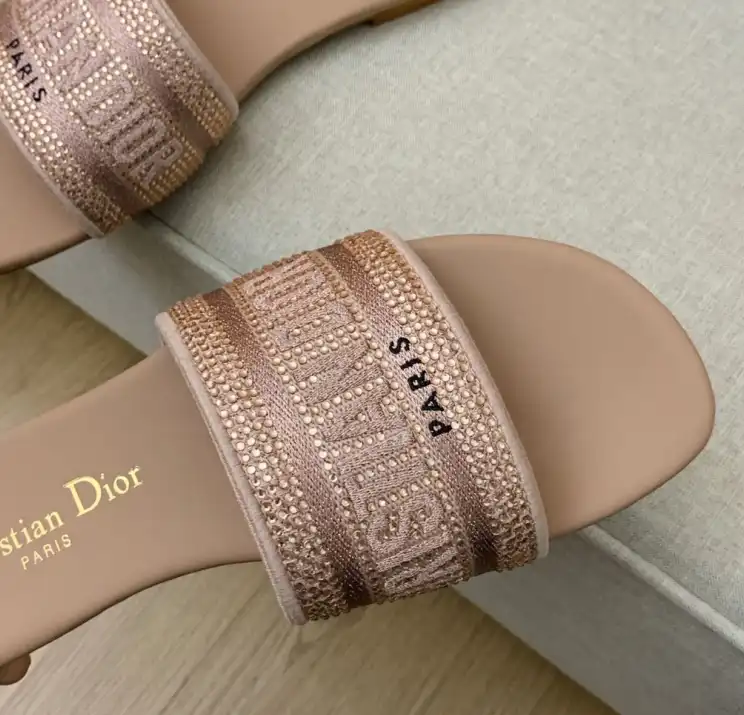 hype Christian Dior Slippers