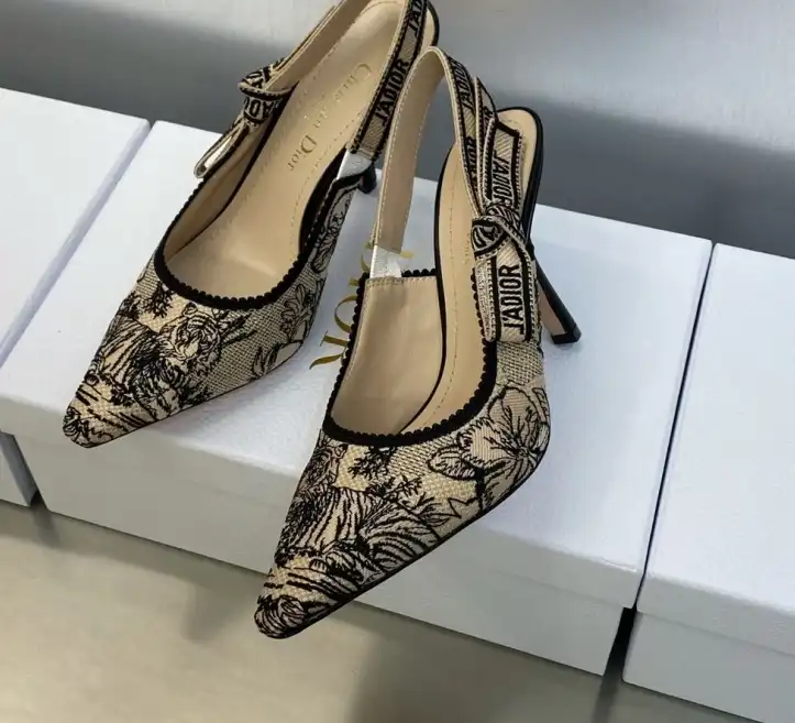 hype Christian Dior High Heels