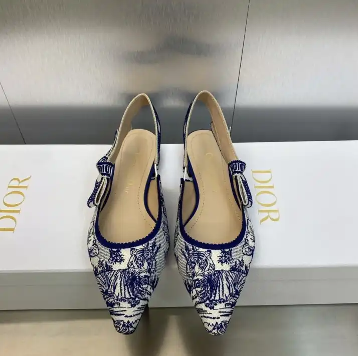 hype Christian Dior High Heels