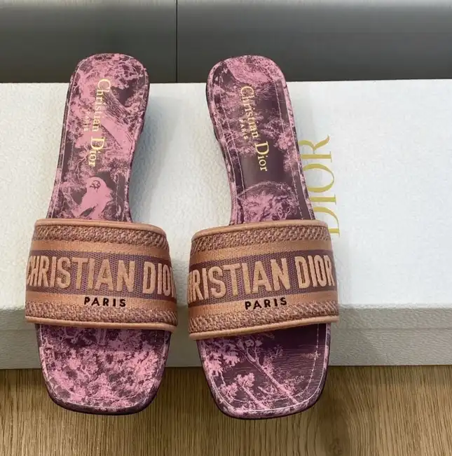 hype Christian Dior Slippers