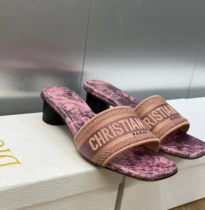 hype Christian Dior Slippers