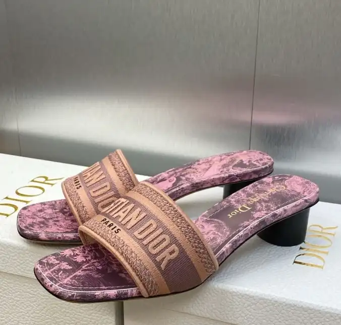 hype Christian Dior Slippers