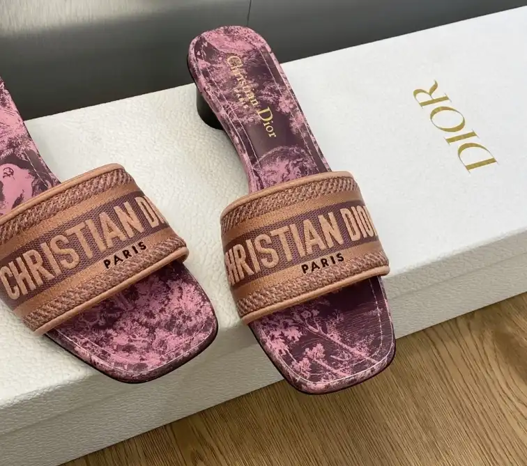 hype Christian Dior Slippers