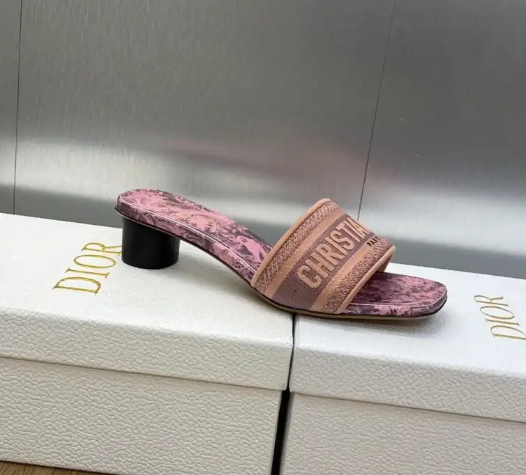 hype Christian Dior Slippers