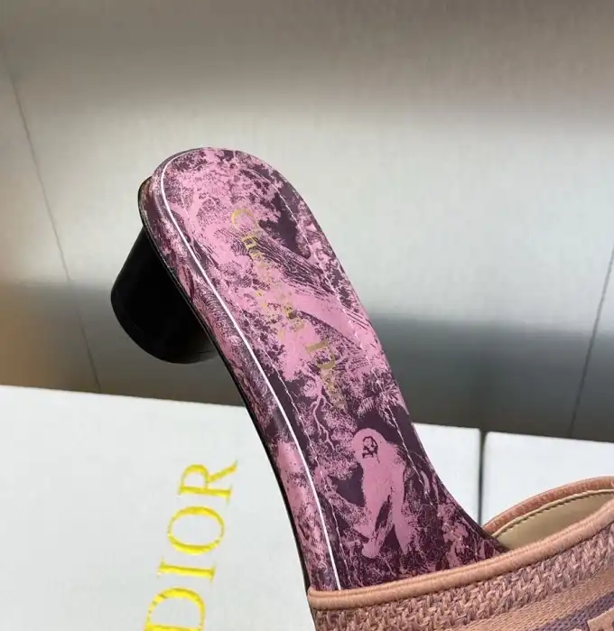 hype Christian Dior Slippers