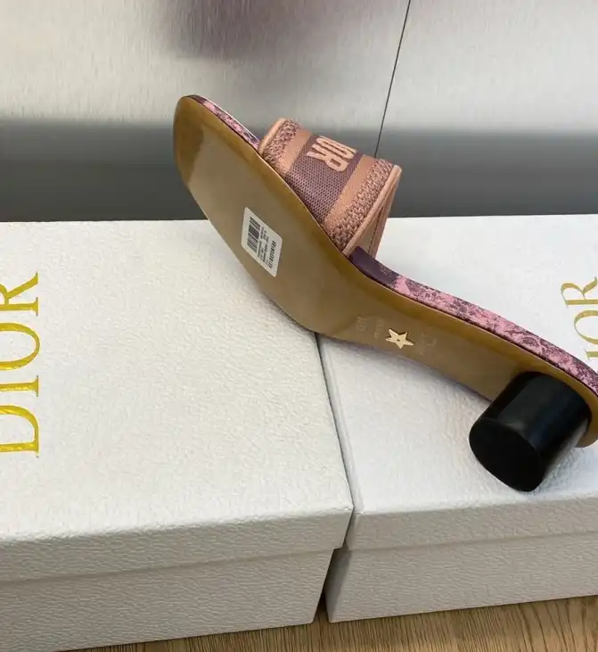 hype Christian Dior Slippers