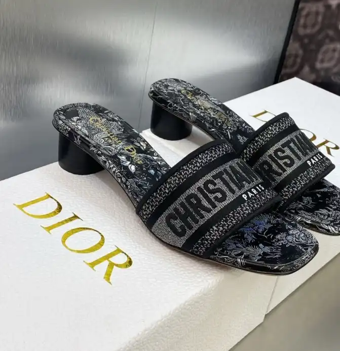 hype Christian Dior Slippers