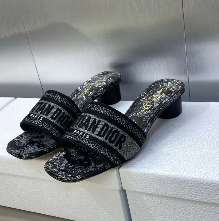 hype Christian Dior Slippers