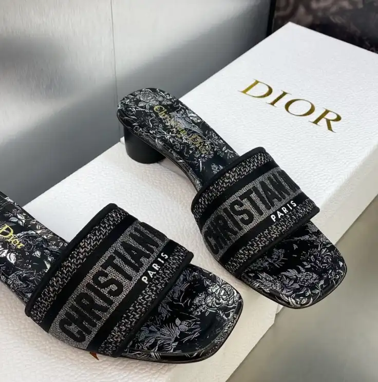 hype Christian Dior Slippers