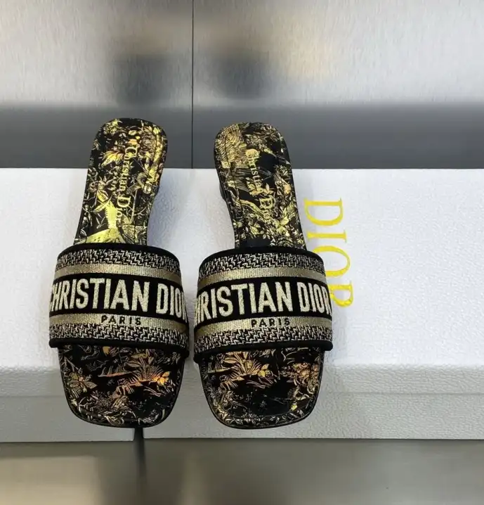 hype Christian Dior Slippers