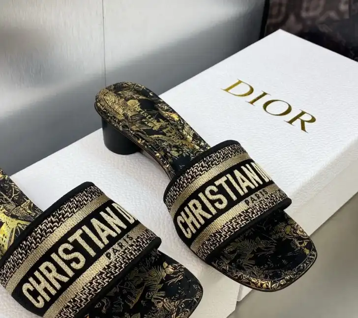 hype Christian Dior Slippers