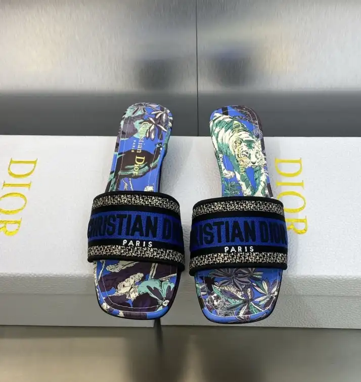 hype Christian Dior Slippers