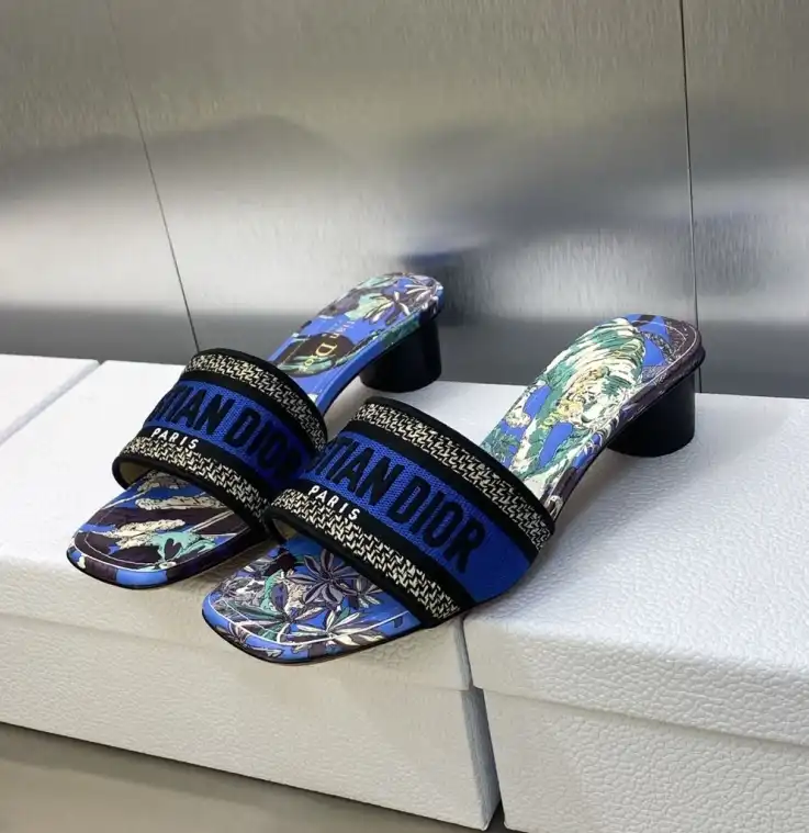 hype Christian Dior Slippers