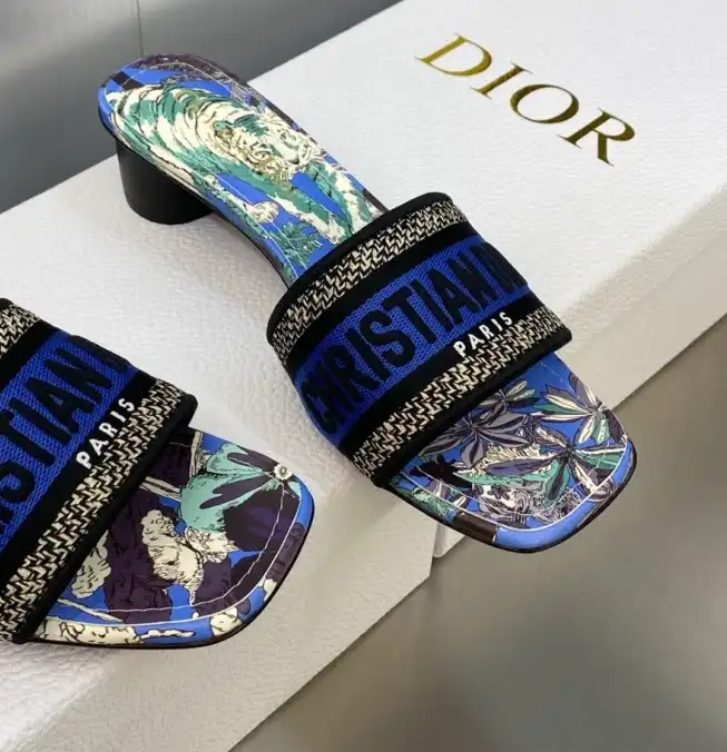 hype Christian Dior Slippers