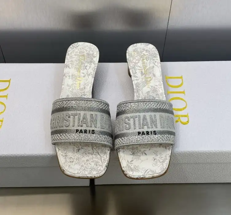 hype Christian Dior Slippers