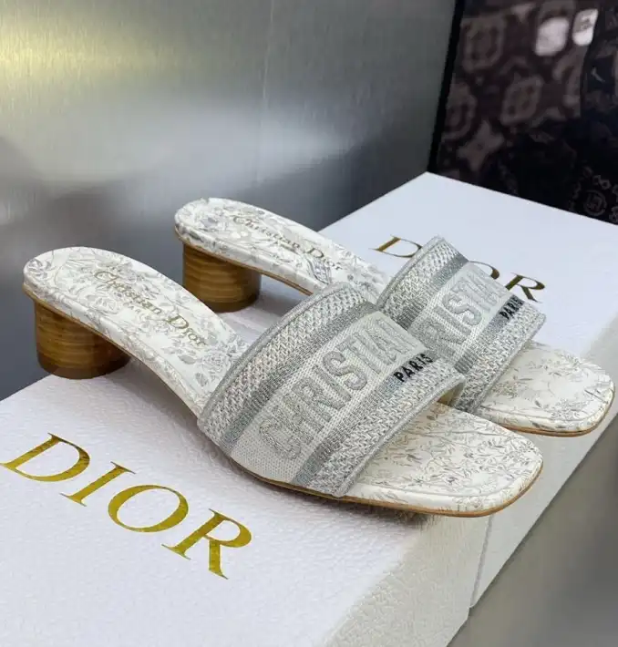 hype Christian Dior Slippers