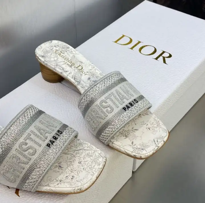 hype Christian Dior Slippers